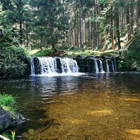 Chillout 4you Apartament *