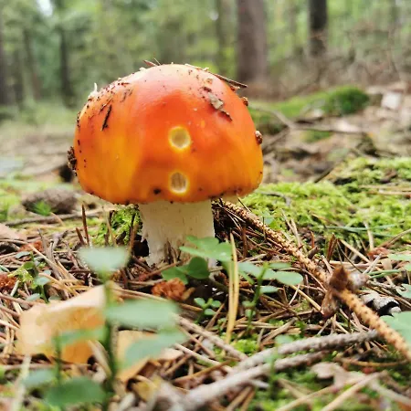 Apartament Chillout 4you Świeradów-Zdrój