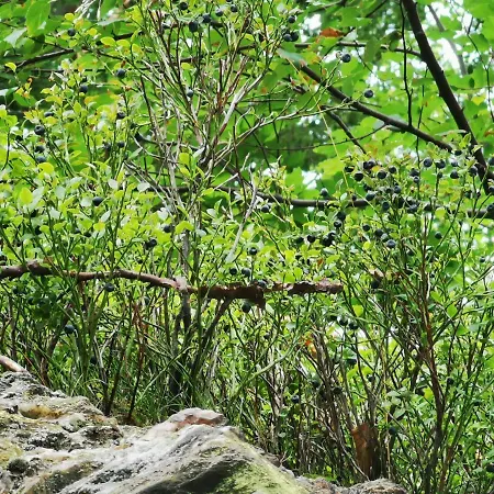 Chillout 4you Apartament