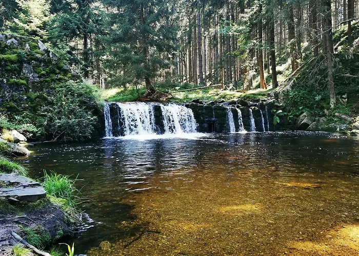 Chillout 4you Apartament *